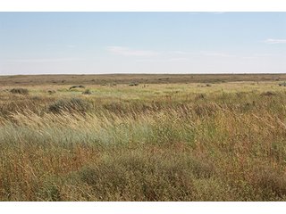 Property photo 46 - LAND AUCTION, 3255+/- Acres offered in 13 Tracts